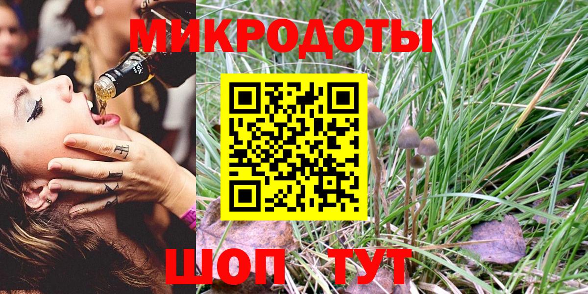 Псилоцибиновые грибы прущие грибы  Вход с VPN  Кинель 
