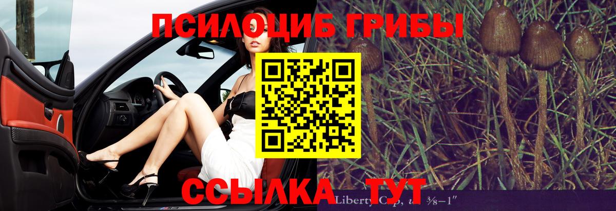 Галлюциногенные грибы Psilocybine cubensis Кинель